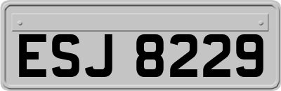 ESJ8229