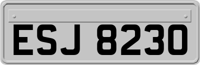 ESJ8230