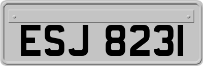 ESJ8231