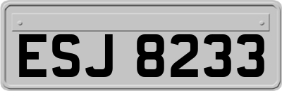 ESJ8233