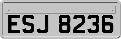 ESJ8236