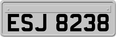 ESJ8238