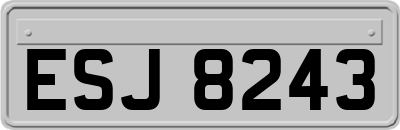 ESJ8243