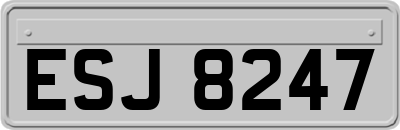 ESJ8247