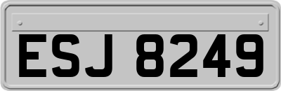 ESJ8249
