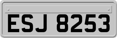 ESJ8253