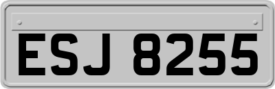 ESJ8255