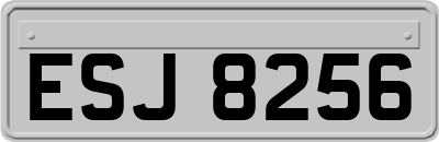 ESJ8256