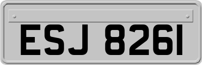 ESJ8261