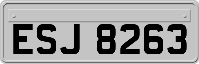 ESJ8263