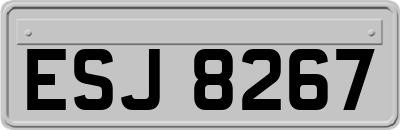 ESJ8267
