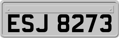 ESJ8273