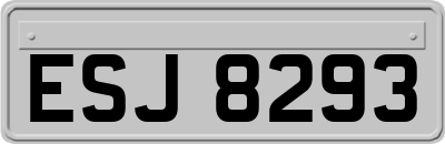 ESJ8293