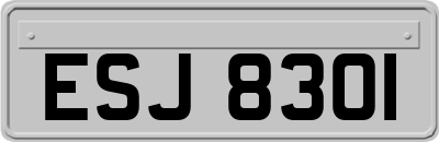 ESJ8301