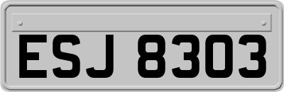 ESJ8303