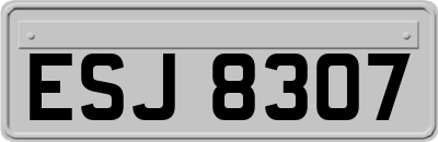 ESJ8307
