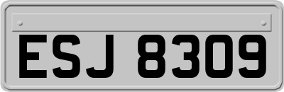 ESJ8309