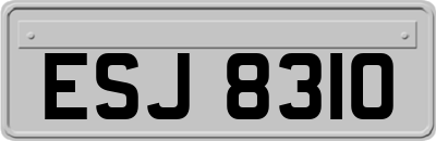 ESJ8310