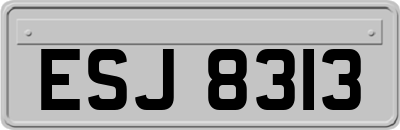 ESJ8313