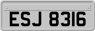 ESJ8316