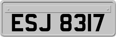 ESJ8317