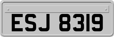 ESJ8319