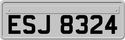 ESJ8324