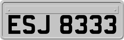 ESJ8333