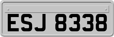 ESJ8338