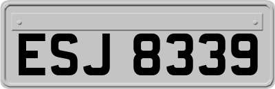 ESJ8339