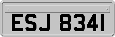 ESJ8341