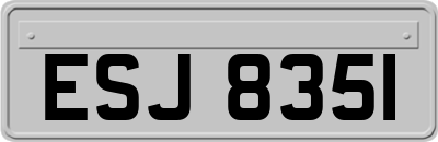 ESJ8351