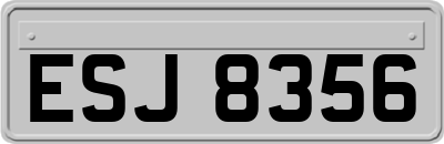 ESJ8356
