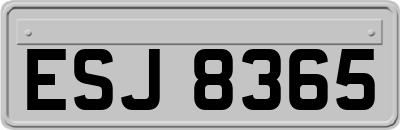 ESJ8365