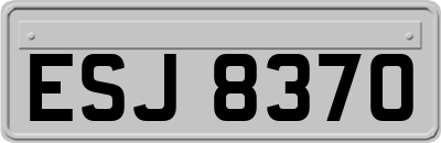 ESJ8370