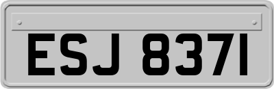 ESJ8371