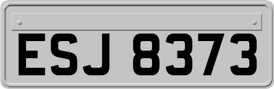 ESJ8373