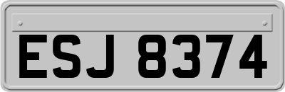 ESJ8374