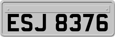 ESJ8376