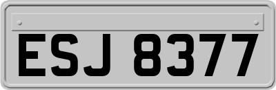 ESJ8377