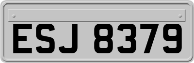 ESJ8379