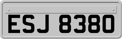 ESJ8380