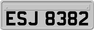ESJ8382