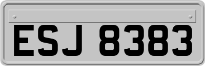 ESJ8383