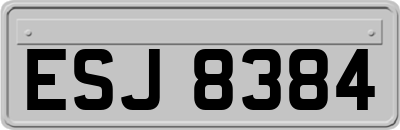 ESJ8384