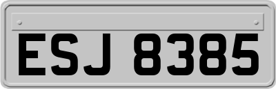 ESJ8385
