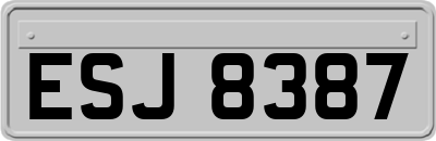 ESJ8387