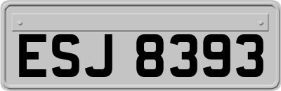 ESJ8393