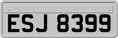 ESJ8399