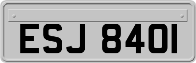 ESJ8401